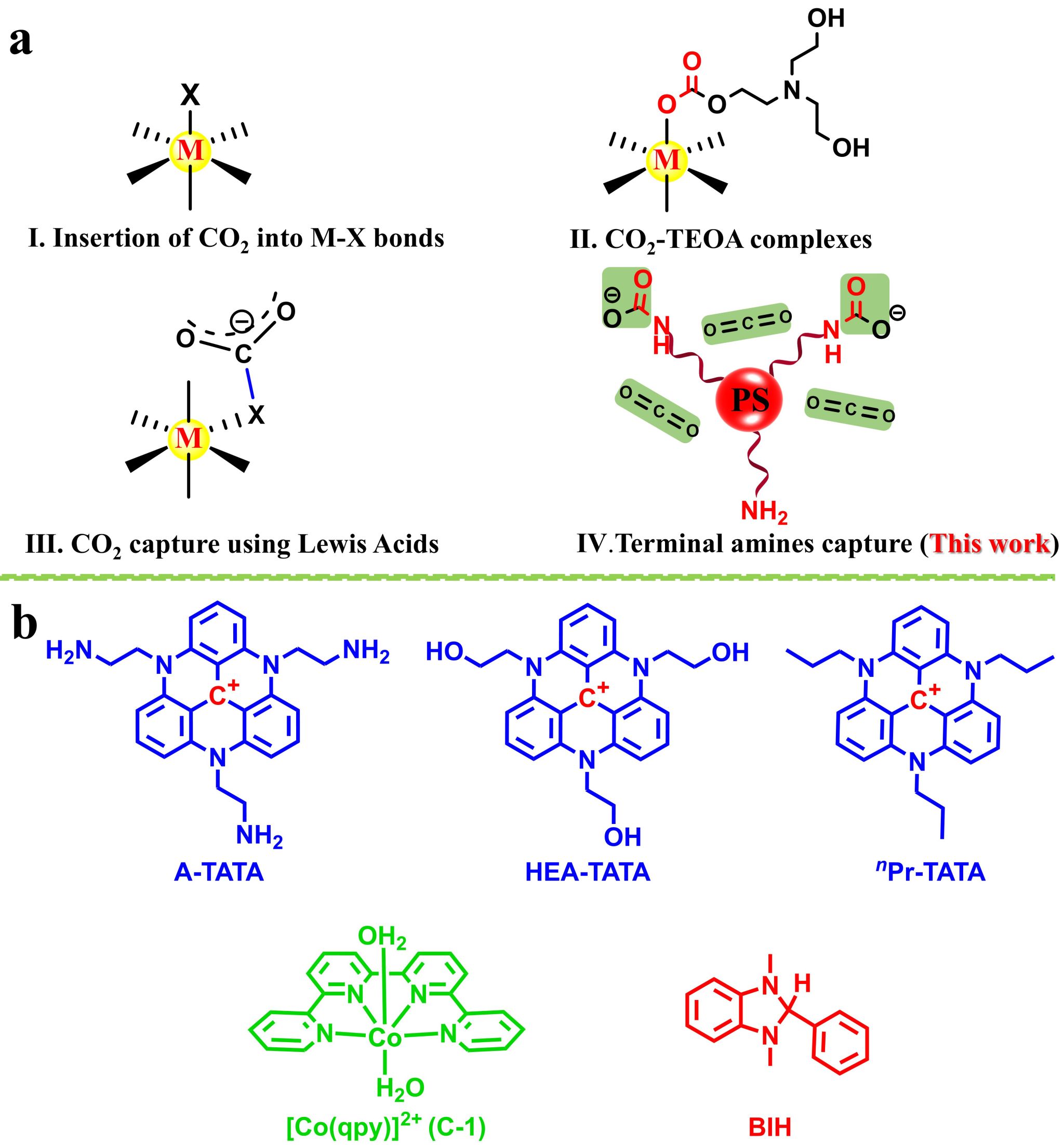 郝思伟-NC2jpg 郝思伟-NC2jpg