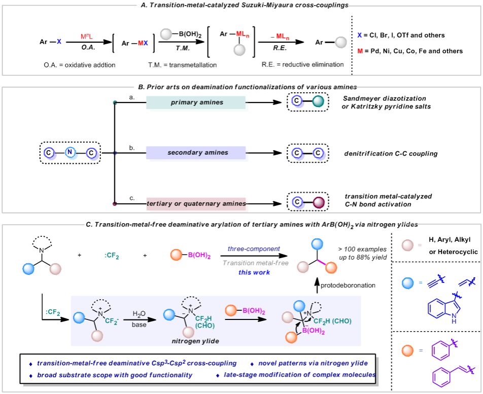 untitled.bmp untitled.bmp